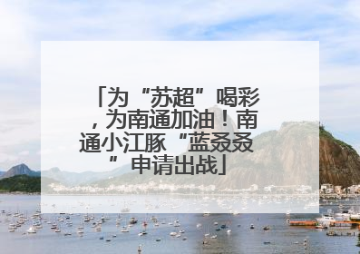 为“苏超”喝彩，为南通加油！南通小江豚“蓝叒叒”申请出战