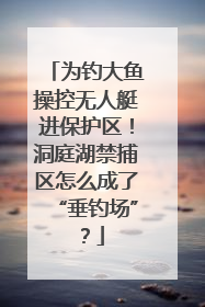 为钓大鱼操控无人艇进保护区！洞庭湖禁捕区怎么成了“垂钓场”？