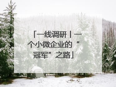 一线调研丨一个小微企业的“冠军”之路