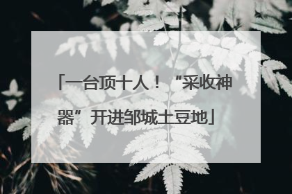 一台顶十人！“采收神器”开进邹城土豆地