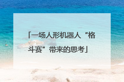 一场人形机器人“格斗赛”带来的思考