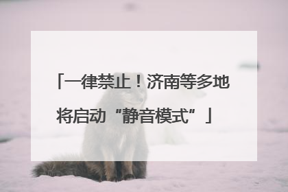 一律禁止！济南等多地将启动“静音模式”