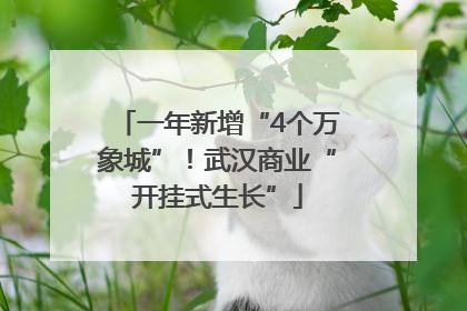 一年新增“4个万象城”！武汉商业“开挂式生长”