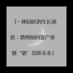 一座园区的生长速度：德州如何靠产业链“链”出新未来
