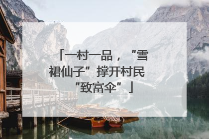 一村一品，“雪裙仙子”撑开村民“致富伞”