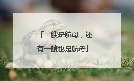 一艘是航母，还有一艘也是航母