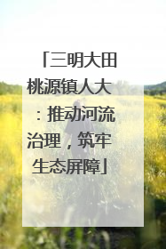 三明大田桃源镇人大：推动河流治理，筑牢生态屏障