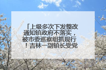 上级多次下发整改通知镇政府不落实，被市委巡察组抓现行！吉林一副镇长受党内警告处分