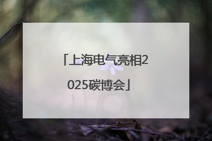上海电气亮相2025碳博会