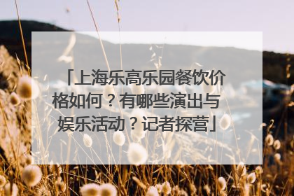 上海乐高乐园餐饮价格如何？有哪些演出与娱乐活动？记者探营