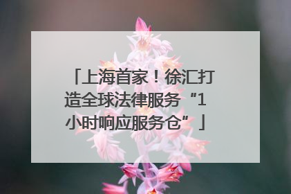 上海首家！徐汇打造全球法律服务“1小时响应服务仓”