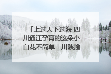 上过天下过海 四川通江孕育的这朵小白花不简单｜川陕渝网络名人巴中行