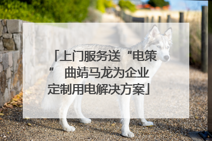 上门服务送“电策” 曲靖马龙为企业定制用电解决方案