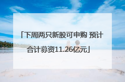 下周两只新股可申购 预计合计募资11.26亿元