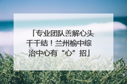 专业团队善解心头千千结！兰州榆中综治中心有“心”招