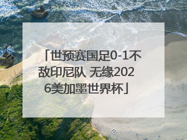 世预赛国足0-1不敌印尼队 无缘2026美加墨世界杯