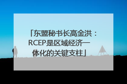 东盟秘书长高金洪：RCEP是区域经济一体化的关键支柱
