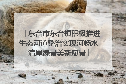 东台市东台镇积极推进生态河道整治实现河畅水清岸绿景美新愿景