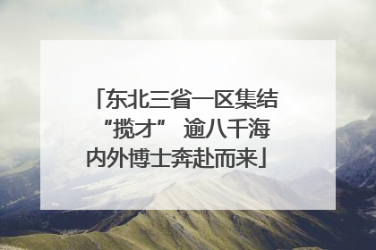 东北三省一区集结“揽才” 逾八千海内外博士奔赴而来