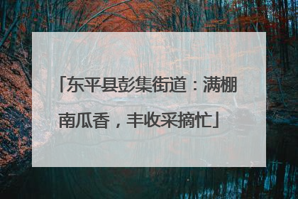 东平县彭集街道：满棚南瓜香，丰收采摘忙