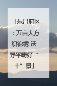 东昌府区：万亩大方织锦绣 沃野平畴好“丰”景