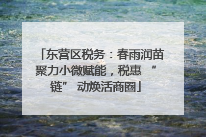 东营区税务：春雨润苗聚力小微赋能，税惠 “链” 动焕活商圈