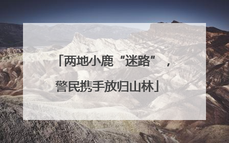 两地小鹿“迷路”，警民携手放归山林
