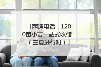 两通电话，1200亩小麦一站式收储（三夏进行时）