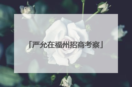 严允在福州招商考察
