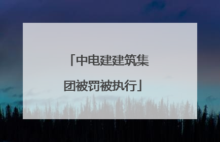 中电建建筑集团被罚被执行