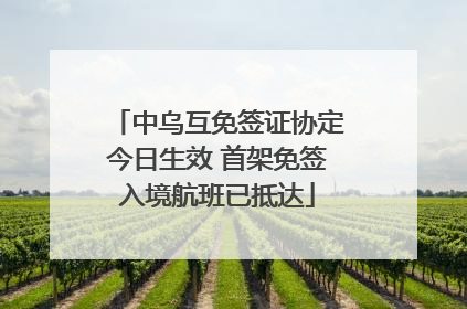 中乌互免签证协定今日生效 首架免签入境航班已抵达