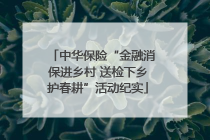 中华保险“金融消保进乡村 送检下乡护春耕”活动纪实
