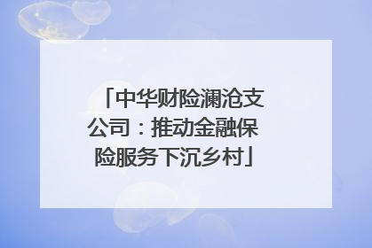 中华财险澜沧支公司：推动金融保险服务下沉乡村