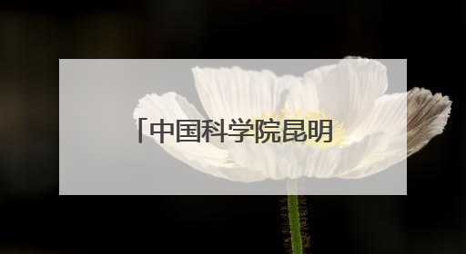 中国科学院昆明植物研究所和深圳兰科中心联合科考取得重要成果 在神农架发现两种“国保”级兰花