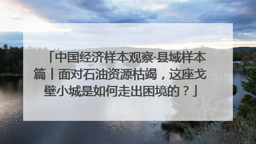 中国经济样本观察·县域样本篇丨面对石油资源枯竭，这座戈壁小城是如何走出困境的？