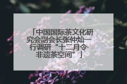 中国国际茶文化研究会副会长张仲灿一行调研“十二月令·非遗茶空间”