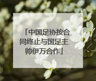 中国足协按合同终止与国足主帅伊万合作