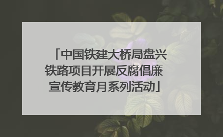 中国铁建大桥局盘兴铁路项目开展反腐倡廉宣传教育月系列活动