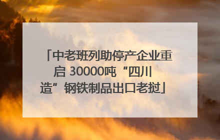 中老班列助停产企业重启 30000吨“四川造”钢铁制品出口老挝