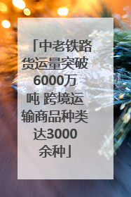 中老铁路货运量突破6000万吨 跨境运输商品种类达3000余种