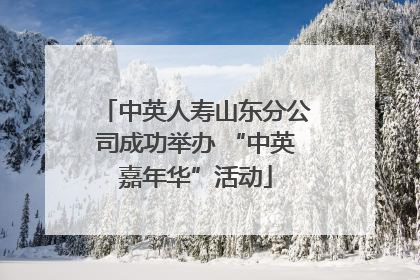 中英人寿山东分公司成功举办 “中英嘉年华”活动