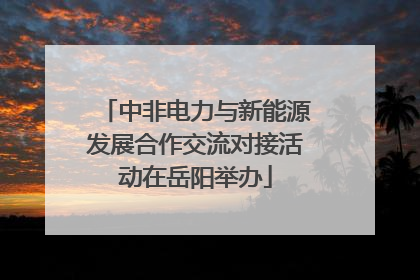 中非电力与新能源发展合作交流对接活动在岳阳举办
