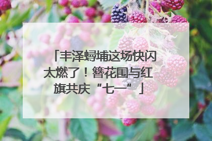 丰泽蟳埔这场快闪太燃了！簪花围与红旗共庆“七一”