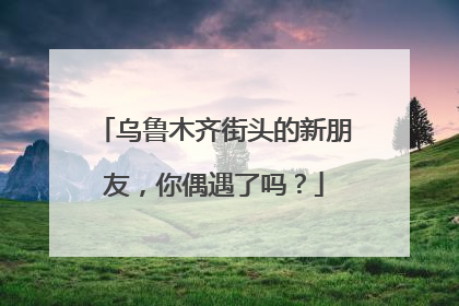 乌鲁木齐街头的新朋友，你偶遇了吗？