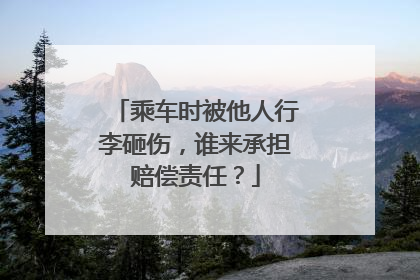 乘车时被他人行李砸伤，谁来承担赔偿责任？