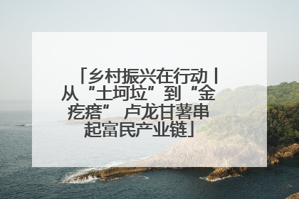 乡村振兴在行动丨从“土坷垃”到“金疙瘩” 卢龙甘薯串起富民产业链