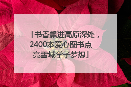 书香飘进高原深处，2400本爱心图书点亮雪域学子梦想