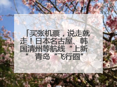 买张机票，说走就走！日本名古屋、韩国清州等航线“上新” 青岛“飞行圈”不断扩大