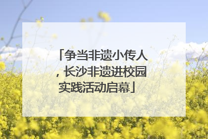 争当非遗小传人，长沙非遗进校园实践活动启幕