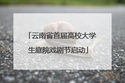 云南省首届高校大学生庭院戏剧节启动